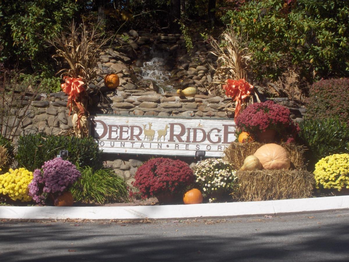 Deer Ridge Mountain Resort Pittman Center Buitenkant foto